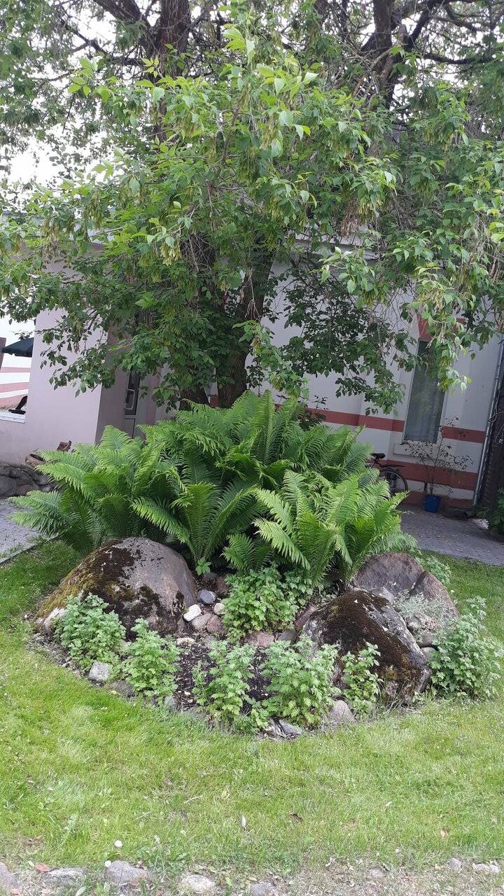 Фото Гостиницы Хит Парк Вышний Волочек 22