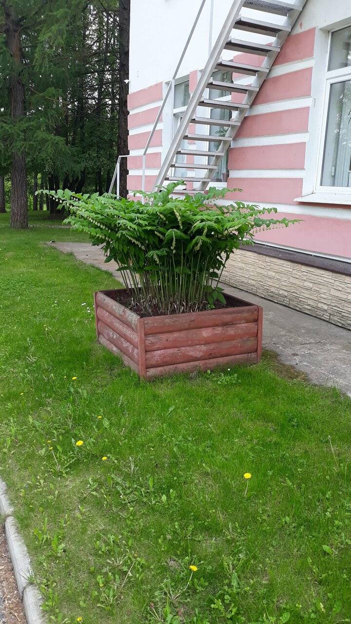 Фото Гостиницы Хит Парк Вышний Волочек 21